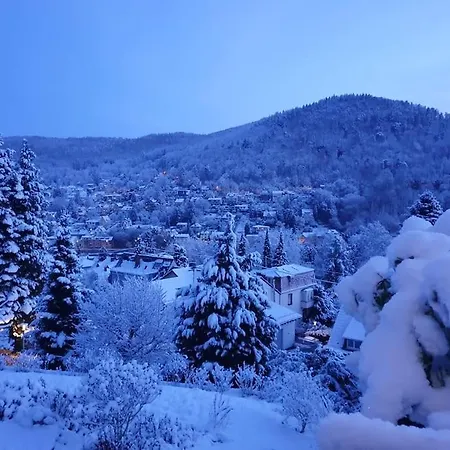 Cozy Hilltop Hideaway Heidelberg